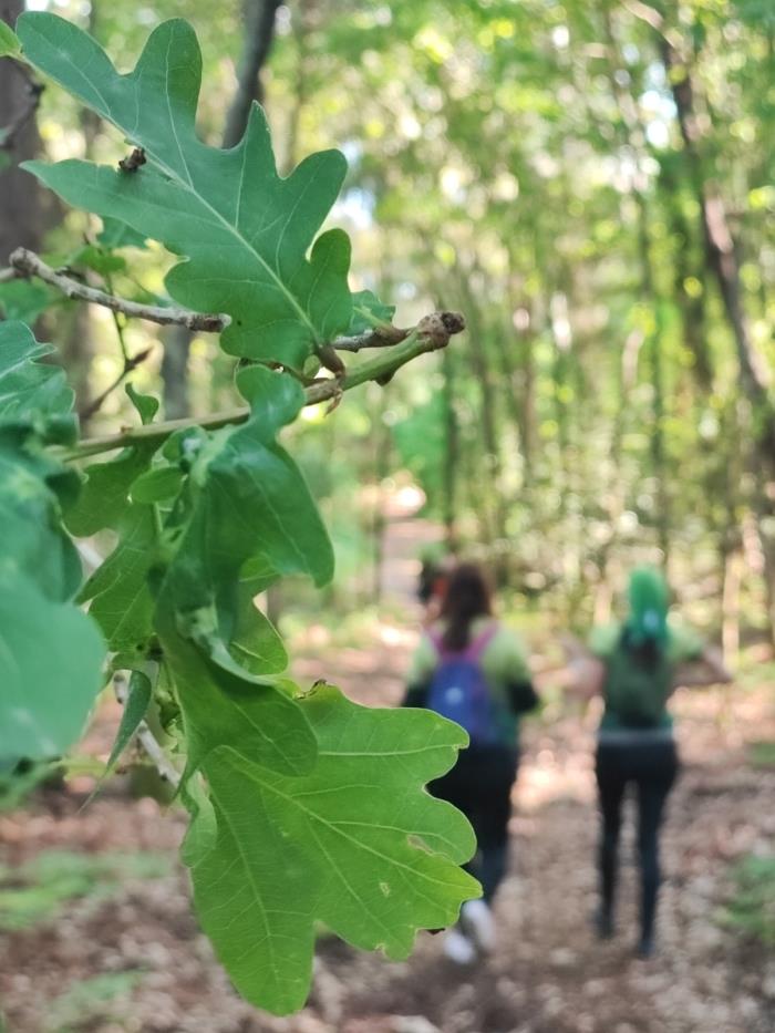 Caminhar, Descobrir e Brindar em Melgaço